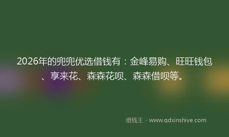 2026年的兜兜优选借钱有:金峰易购、旺旺钱包、享来花、森森花呗、森森借呗等。