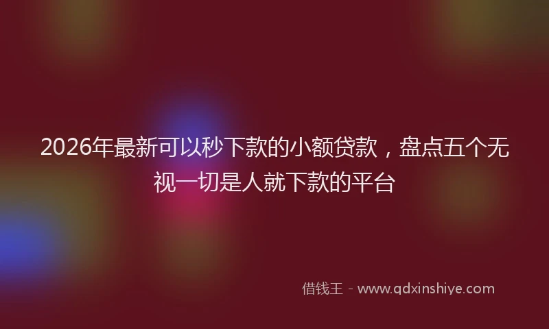 2026年最新可以秒下款的小额贷款,盘点五个无视一切是人就下款的平台