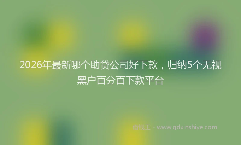 2026年最新哪个助贷公司好下款，归纳5个无视黑户百分百下款平台