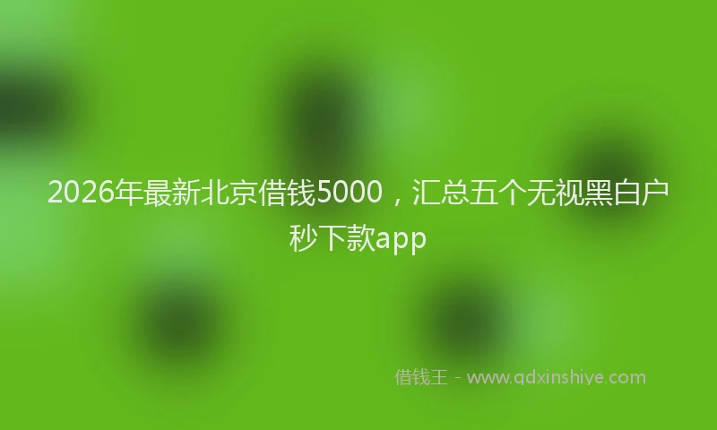 2026年最新北京借钱5000，汇总五个无视黑白户秒下款app