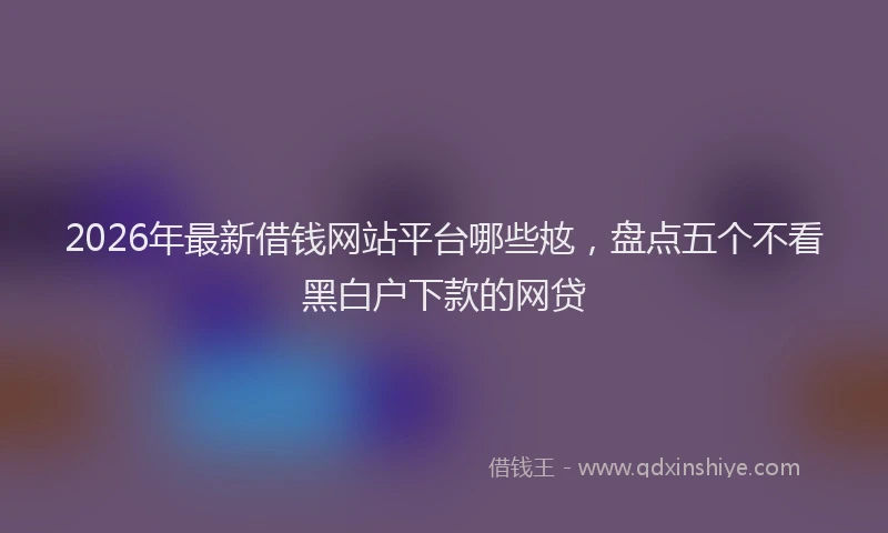 2026年最新借钱网站平台哪些奿，盘点五个不看黑白户下款的网贷
