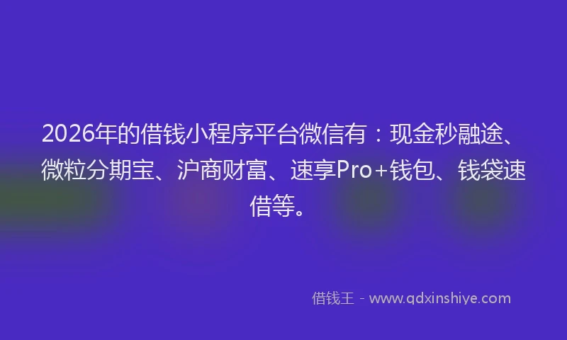 2026年的借钱小程序平台微信有：现金秒融途、微粒分期宝、沪商财富、速享Pro+钱包、钱袋速借等。