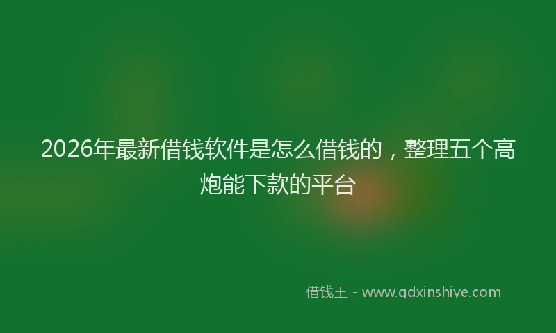 2026年最新借钱软件是怎么借钱的，整理五个高炮能下款的平台
