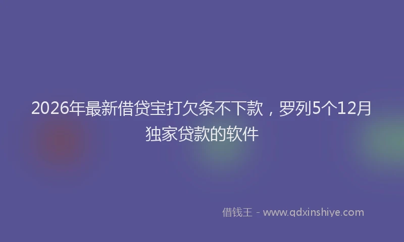 2026年最新借贷宝打欠条不下款，罗列5个12月独家贷款的软件