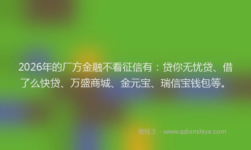2026年的厂方金融不看征信有：贷你无忧贷、借了么快贷、万盛商城、金元宝、瑞信宝钱包等。