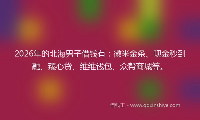 2026年的北海男子借钱有：微米金条、现金秒到融、臻心贷、维维钱包、众帮商城等。