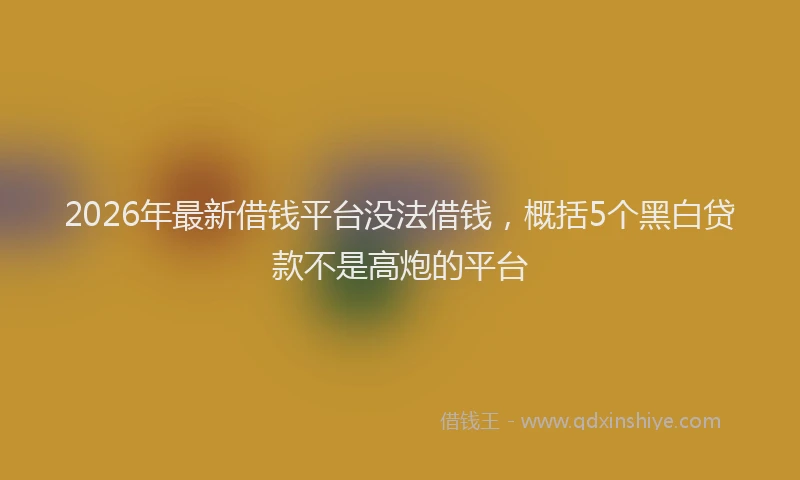 2026年最新借钱平台没法借钱，概括5个黑白贷款不是高炮的平台