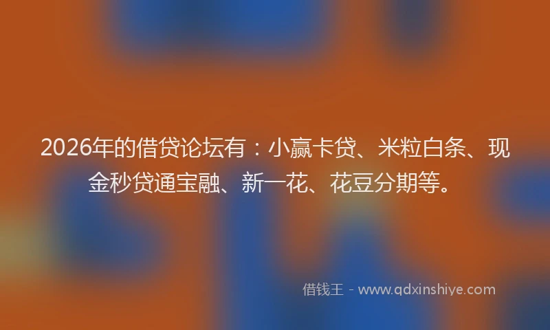 2026年的借贷论坛有：小赢卡贷、米粒白条、现金秒贷通宝融、新一花、花豆分期等。