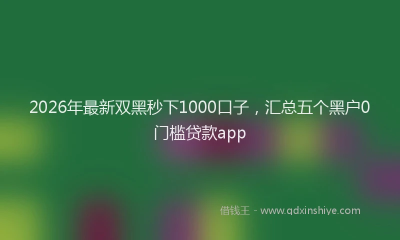 2026年最新双黑秒下1000口子，汇总五个黑户0门槛贷款app
