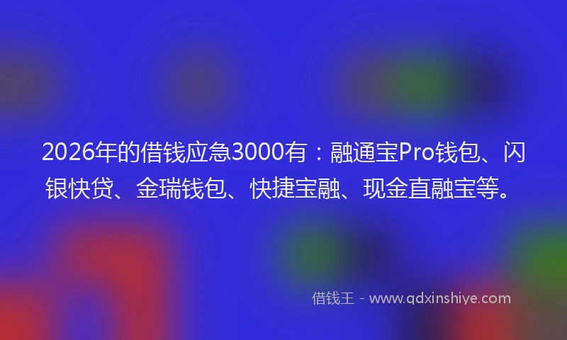 2026年的借钱应急3000有：融通宝Pro钱包、闪银快贷、金瑞钱包、快捷宝融、现金直融宝等。
