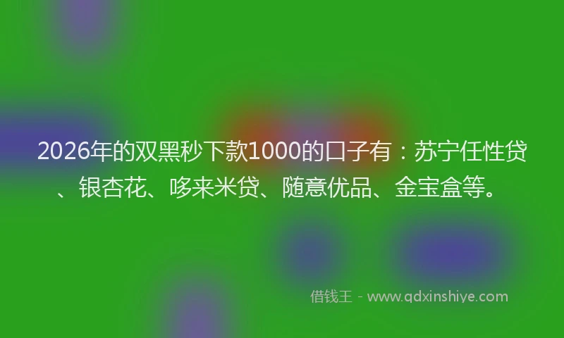 2026年的双黑秒下款1000的口子有：苏宁任性贷、银杏花、哆来米贷、随意优品、金宝盒等。