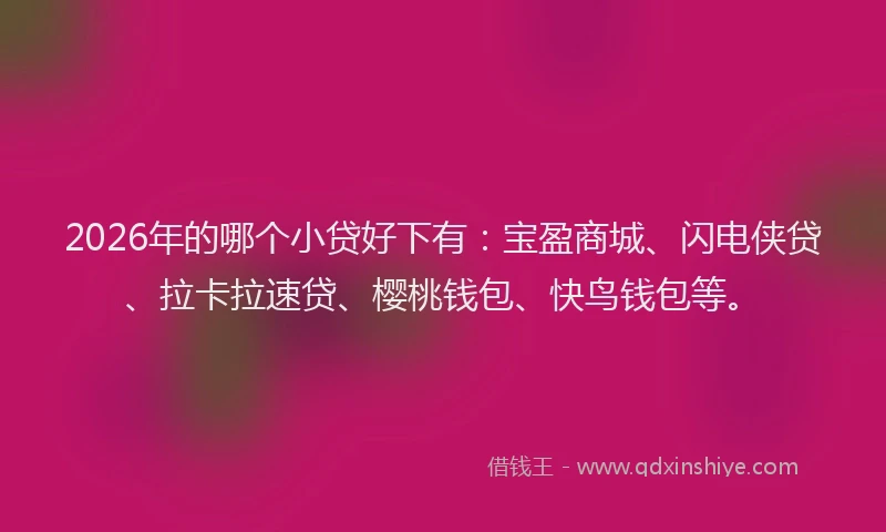 2026年的哪个小贷好下有:宝盈商城、闪电侠贷、拉卡拉速贷、樱桃钱包、快鸟钱包等。