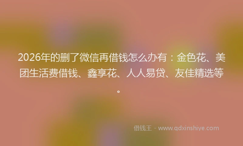 2026年的删了微信再借钱怎么办有:金色花、美团生活费借钱、鑫享花、人人易贷、友佳精选等。