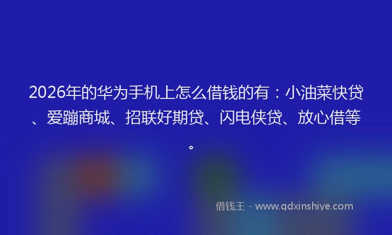 2026年的华为手机上怎么借钱的有：小油菜快贷、爱蹦商城、招联好期贷、闪电侠贷、放心借等。