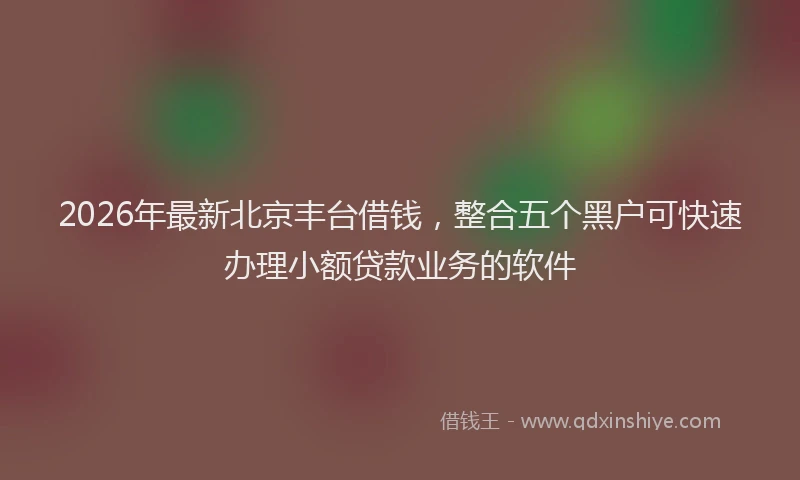 2026年最新北京丰台借钱，整合五个黑户可快速办理小额贷款业务的软件