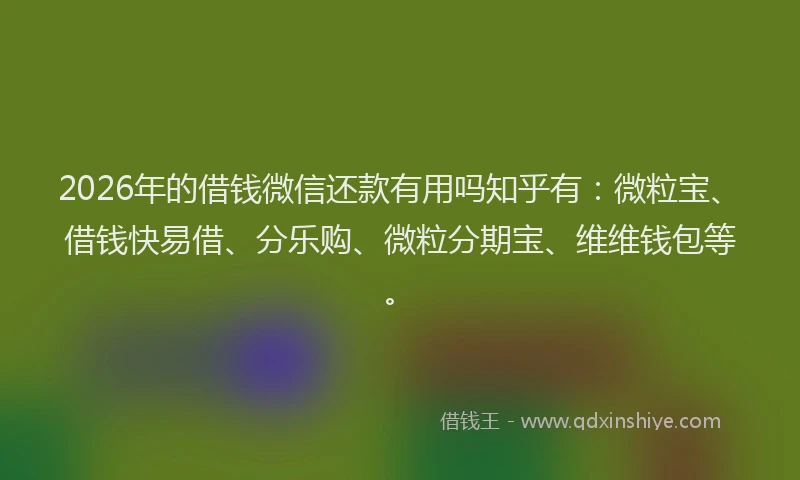 2026年的借钱微信还款有用吗知乎有：微粒宝、借钱快易借、分乐购、微粒分期宝、维维钱包等。