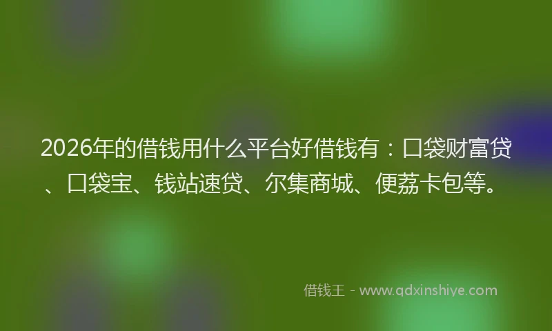 2026年的借钱用什么平台好借钱有:口袋财富贷、口袋宝、钱站速贷、尔集商城、便荔卡包等。
