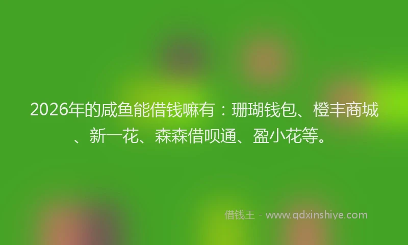 2026年的咸鱼能借钱嘛有:珊瑚钱包、橙丰商城、新一花、森森借呗通、盈小花等。