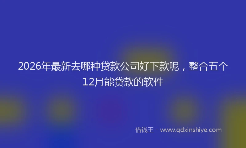 2026年最新去哪种贷款公司好下款呢，整合五个12月能贷款的软件
