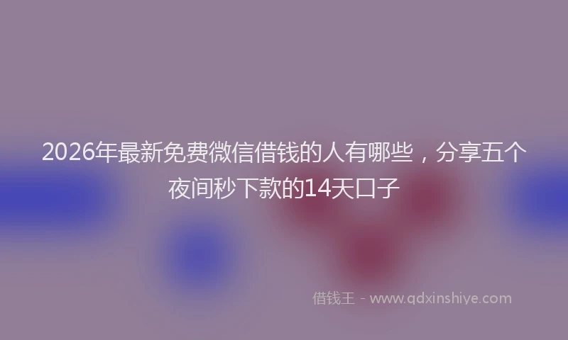 2026年最新免费微信借钱的人有哪些，分享五个夜间秒下款的14天口子