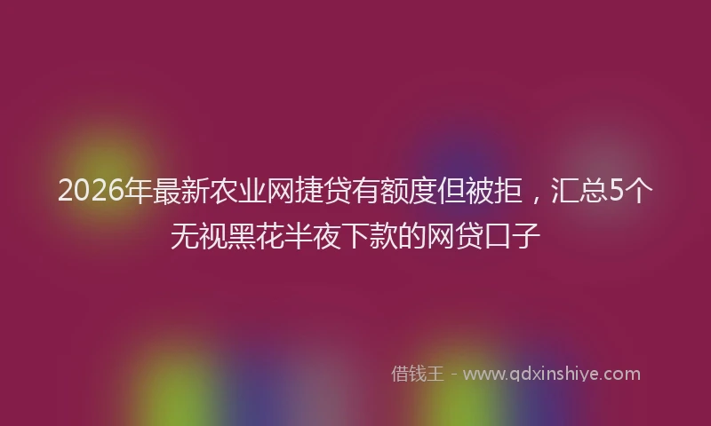 2026年最新农业网捷贷有额度但被拒，汇总5个无视黑花半夜下款的网贷口子