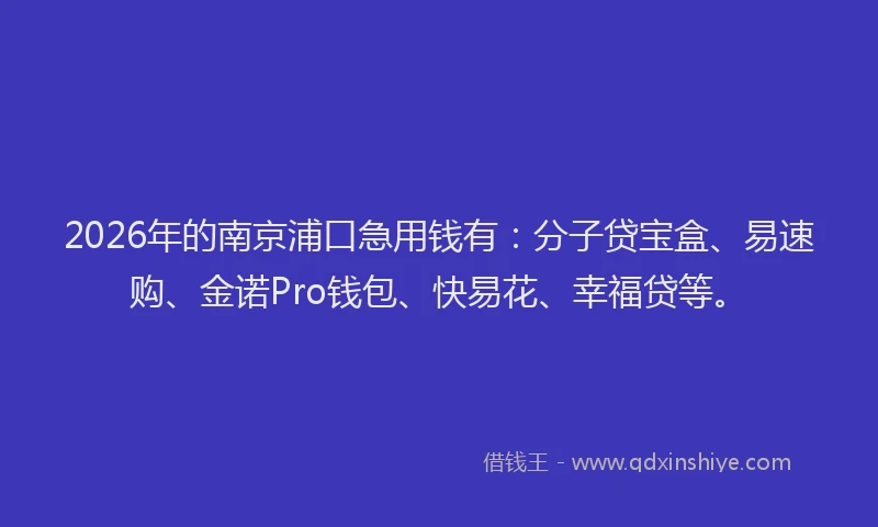 2026年的南京浦口急用钱有：分子贷宝盒、易速购、金诺Pro钱包、快易花、幸福贷等。