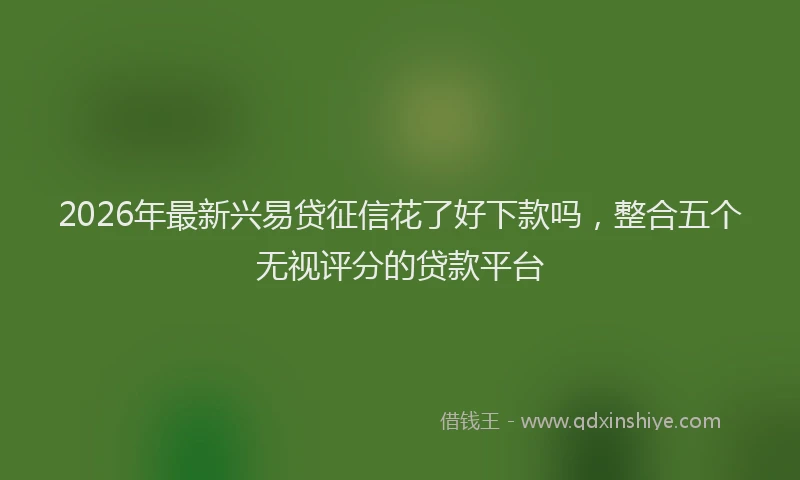 2026年最新兴易贷征信花了好下款吗，整合五个无视评分的贷款平台