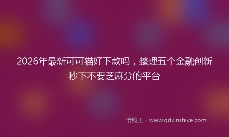 2026年最新可可猫好下款吗，整理五个金融创新秒下不要芝麻分的平台