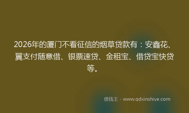2026年的厦门不看征信的烟草贷款有：安鑫花、翼支付随意借、银票速贷、金租宝、借贷宝快贷等。