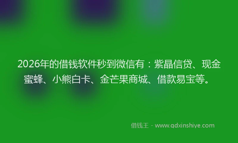 2026年的借钱软件秒到微信有：紫晶信贷、现金蜜蜂、小熊白卡、金芒果商城、借款易宝等。