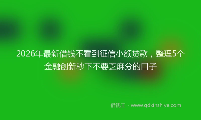 2026年最新借钱不看到征信小额贷款，整理5个金融创新秒下不要芝麻分的口子