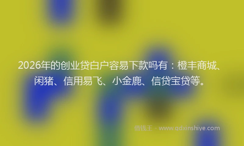 2026年的创业贷白户容易下款吗有:橙丰商城、闲猪、信用易飞、小金鹿、信贷宝贷等。