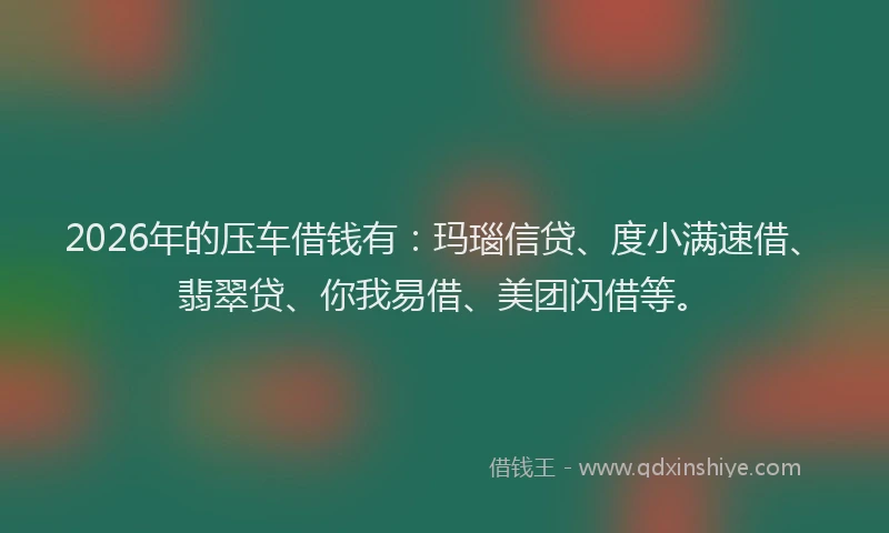 2026年的压车借钱有：玛瑙信贷、度小满速借、翡翠贷、你我易借、美团闪借等。