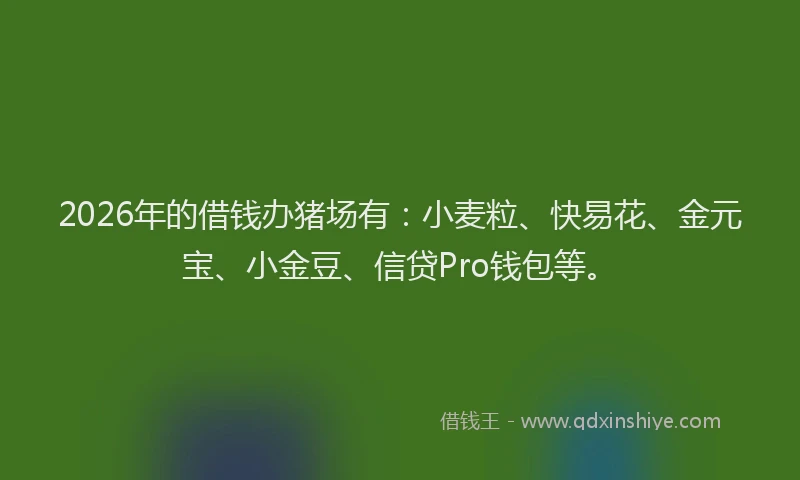 2026年的借钱办猪场有:小麦粒、快易花、金元宝、小金豆、信贷Pro钱包等。