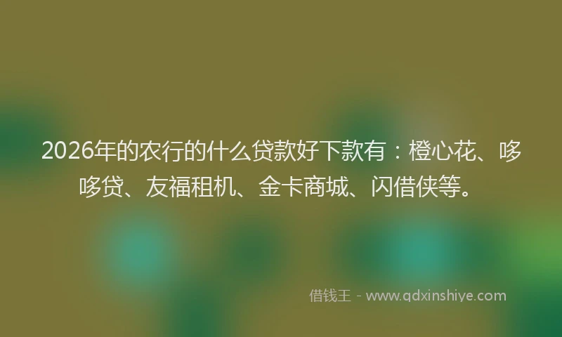 2026年的农行的什么贷款好下款有：橙心花、哆哆贷、友福租机、金卡商城、闪借侠等。