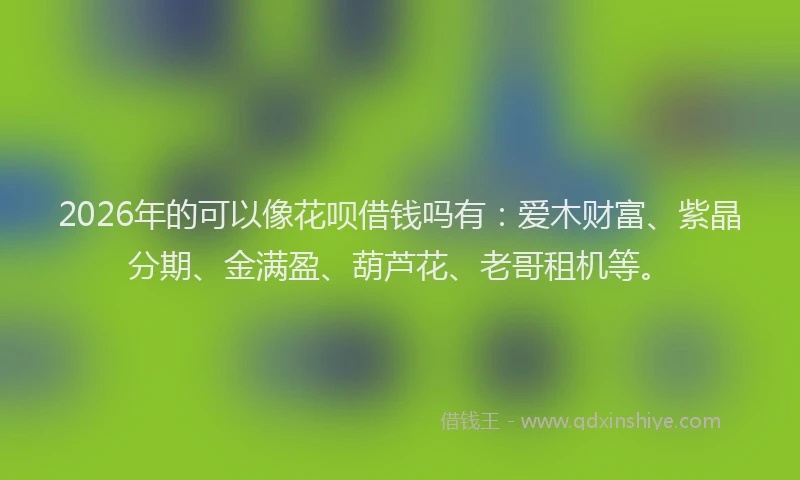 2026年的可以像花呗借钱吗有：爱木财富、紫晶分期、金满盈、葫芦花、老哥租机等。