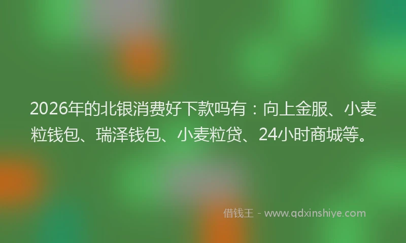 2026年的北银消费好下款吗有：向上金服、小麦粒钱包、瑞泽钱包、小麦粒贷、24小时商城等。