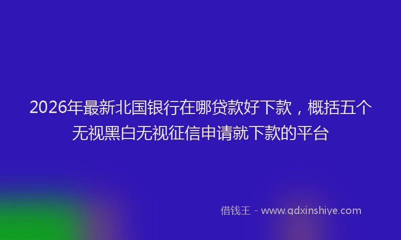 2026年最新北国银行在哪贷款好下款，概括五个无视黑白无视征信申请就下款的平台