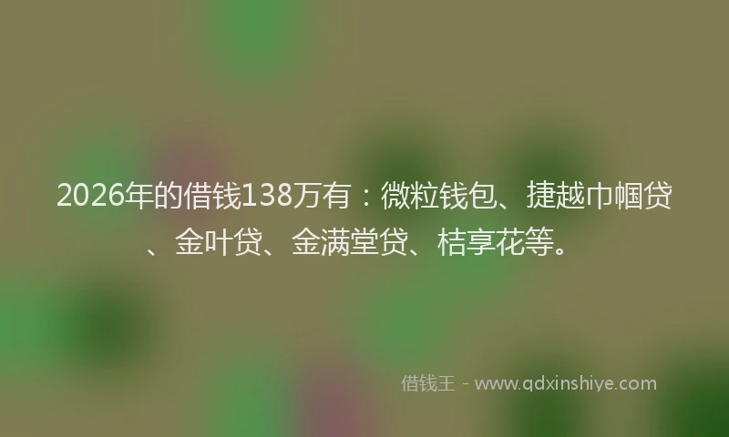 2026年的借钱138万有:微粒钱包、捷越巾帼贷、金叶贷、金满堂贷、桔享花等。