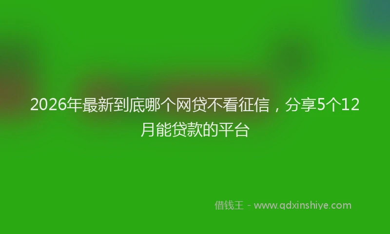 2026年最新到底哪个网贷不看征信,分享5个12月能贷款的平台