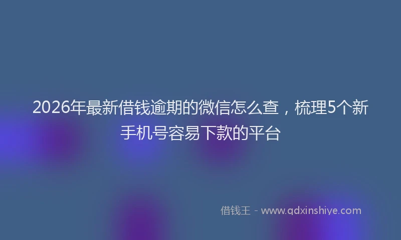 2026年最新借钱逾期的微信怎么查,梳理5个新手机号容易下款的平台