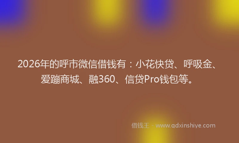 2026年的呼市微信借钱有:小花快贷、呼吸金、爱蹦商城、融360、信贷Pro钱包等。