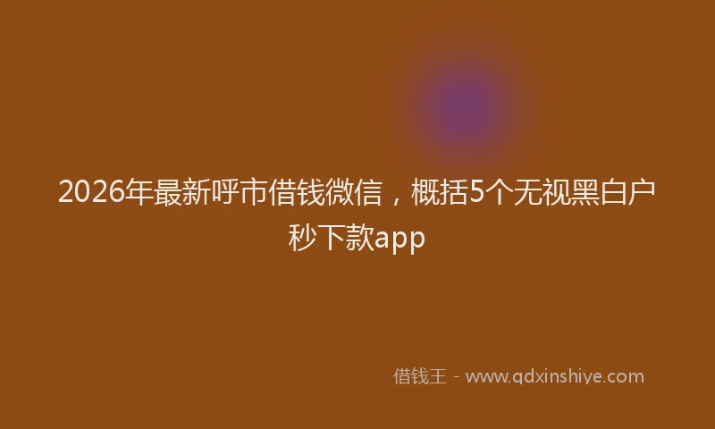 2026年最新呼市借钱微信，概括5个无视黑白户秒下款app