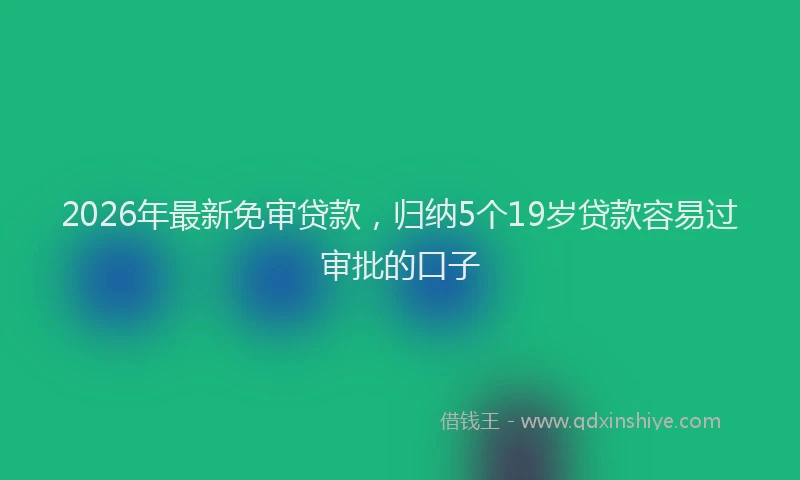 2026年最新免审贷款，归纳5个19岁贷款容易过审批的口子