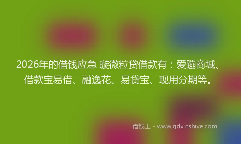 2026年的借钱应急 璇微粒贷借款有：爱蹦商城、借款宝易借、融逸花、易贷宝、现用分期等。