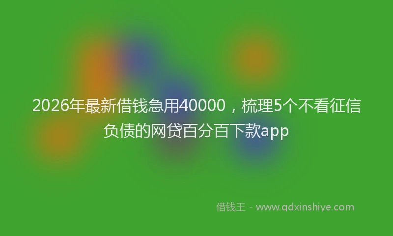 2026年最新借钱急用40000，梳理5个不看征信负债的网贷百分百下款app