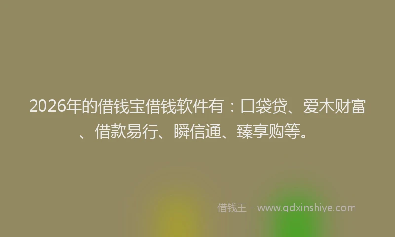 2026年的借钱宝借钱软件有：口袋贷、爱木财富、借款易行、瞬信通、臻享购等。