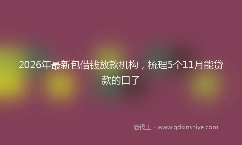 2026年最新包借钱放款机构,梳理5个11月能贷款的口子