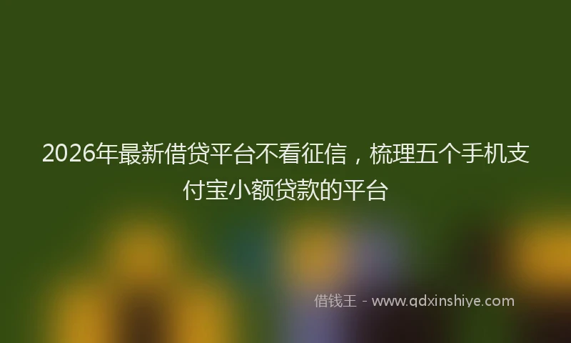 2026年最新借贷平台不看征信,梳理五个手机支付宝小额贷款的平台