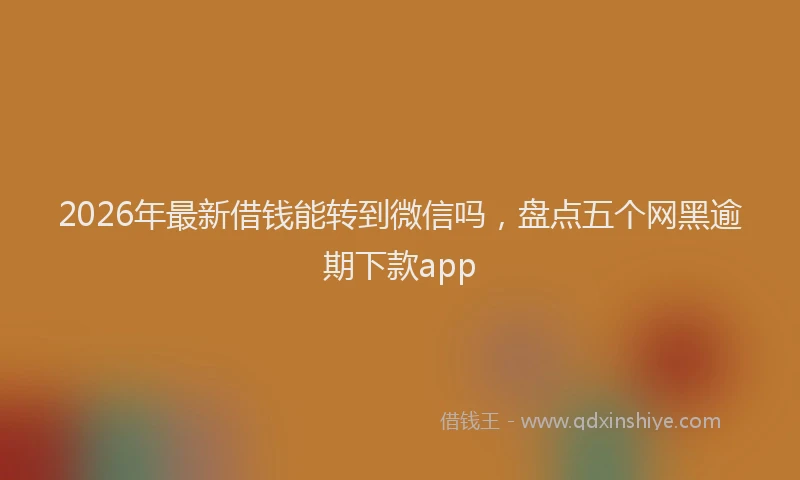 2026年最新借钱能转到微信吗，盘点五个网黑逾期下款app